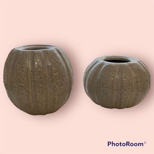 EUC•Set of 2 Beige Coastal Decor Vases